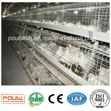 Best Price High Quality Broiler Chicken Cage System